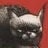 Mister Chat